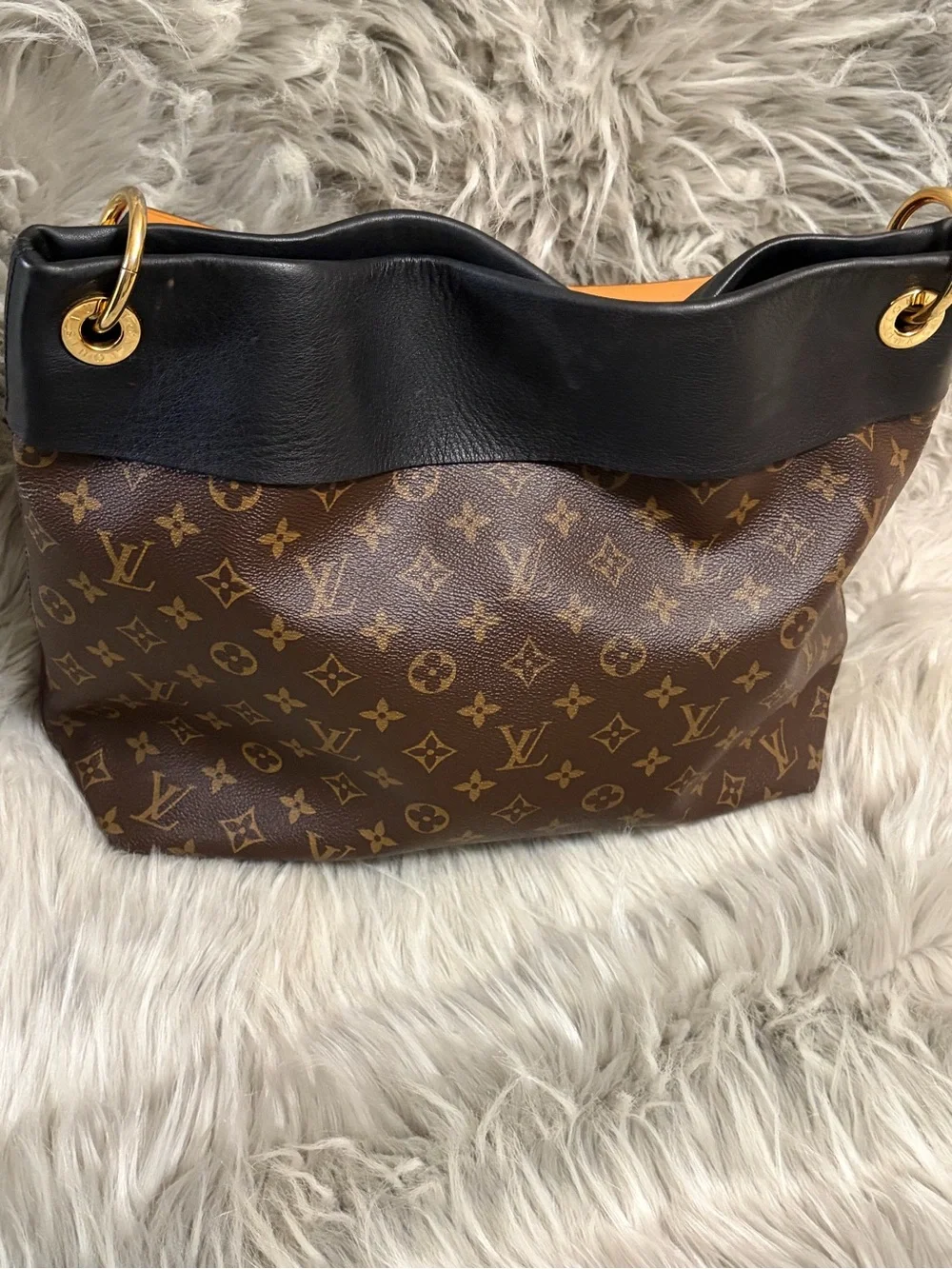 Louis Vuitton Tuileries Hobo Handbag
